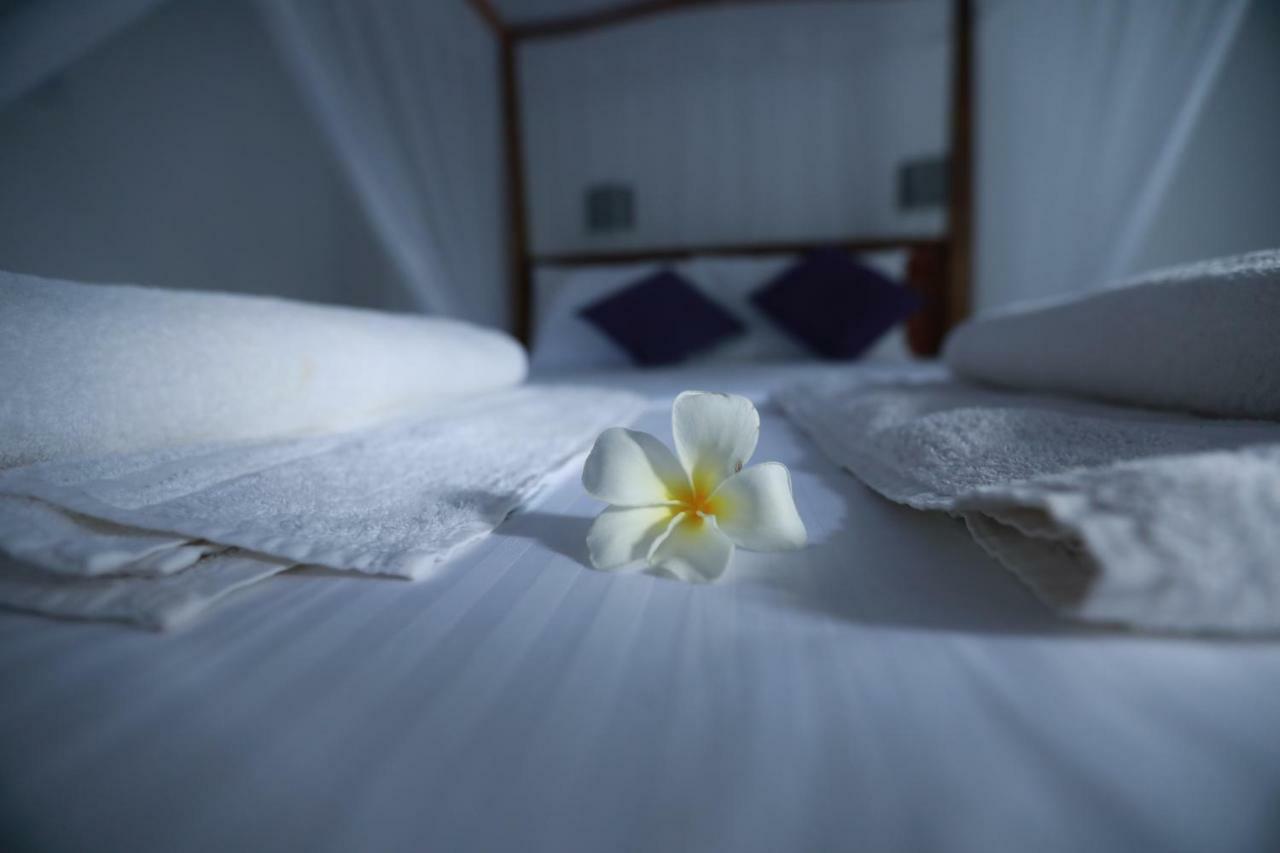أونا واتونا Dock Holiday Guest House المظهر الخارجي الصورة