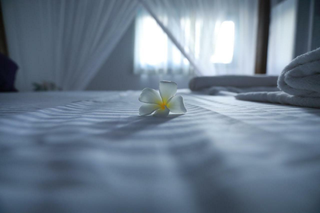 أونا واتونا Dock Holiday Guest House المظهر الخارجي الصورة